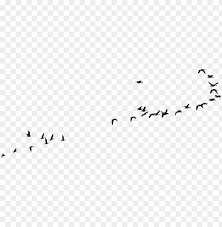 The graceful pose is easy to draw. Wild Geese Flying Goose Geese Flying No Background Png Image With Transparent Background Toppng
