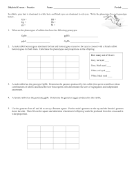 Punnett 10 100 blank recipe pages pdf is available on print and digital edition for free. Dihybrid Crosses Practice Name Period In Rabbits Grey