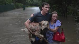 Image result for Images from Houston flood victims