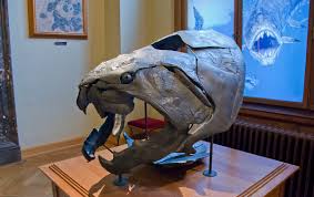 The megalodon shark was the largest shark that ever lived, estimated to have reached up to 60 feet in length. Dunkleosteus Wikipedia
