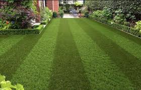 Barbara tesa, green team new jersey realty, vernon, new jersey. Eco Lawn Home Facebook