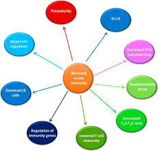 Image result for Neonatal Sepsis