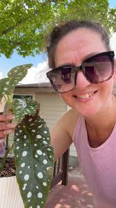 Calling all plant people! #plants #HousePlants #Gardener #Gardening  #Greenthumb #Plant #IndoorPlants #IndoorPlant #PlantOftiktok #fyp #fypシ