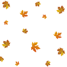Its resolution is 850x472 and the resolution can be changed at any time according to your needs after downloading. Autumn Leaves Falling Gif Transparent Forest Autumn Gif Find Share On Giphy You Can Choose The Most Popular Free Autumn Leaves Falling Gifs To Your Phone Or Computer Yonevenowe