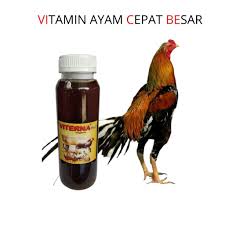 We did not find results for: Harga Vitamin Ayam Kampung Petelur Terbaru Agustus 2021 Biggo Indonesia