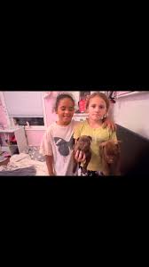 They can’t Love without the Devil, #devilsdenpitbulls #apbt