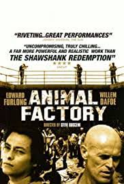 En yeni animasyon filmlerini pc, tablet, tv ve mobil cihazınızda full hd ve 4k kalite seçenekleriyle izlemenin tadını çıkarın. Animal Factory 2000 Imdb