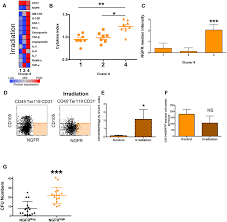 Klik pada angka untuk menseleksi. Stress Induced Changes In Bone Marrow Stromal Cell Populations Revealed Through Single Cell Protein Expression Mapping Abstract Europe Pmc