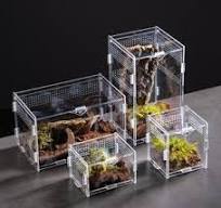 Clear Acrylic Pet Cages - Customizable & Durable Homes