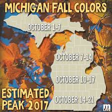 I'm the new mlive.com lions reporter. Mlive Com Get Those Cameras Ready Here S What Our Meteorologist Mark Torregrossa Is Predicting For This Fall Facebook