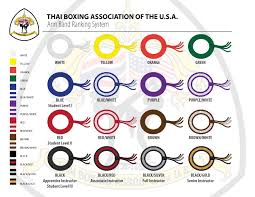 Tba Armband Ranking System 052213 Jpg 792 612 Muay Thai Muay Thai Training Thai