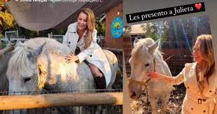 Cathy barriga revivió histórica polémica con pamela díaz. You Re Accusing Cathy Barriga Maipu To Want To Steal A Mare