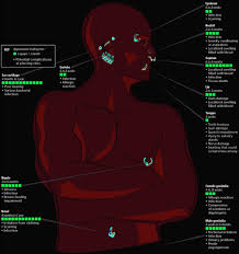Body Piercing Healing Time Chart Visual Ly