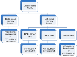 Nausea and vomiting, which may. Seom Clinical Guidelines For Diagnosis And Treatment Of Metastatic Colorectal Cancer 2018 Springerlink