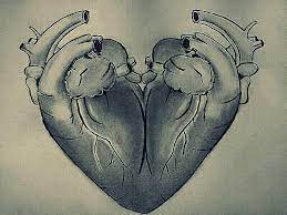 Anyway, its main meaning is the synonym of love — to anyone and. Unknown Facts Heart Logo That You Use For Love Is Actually Two Human Hearts Fused Together Today I Learned Something Human Heart Drawings Heart Shaped Art