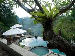 Ubud Dedari Villas Ubud Resort Ubud Bali Resort