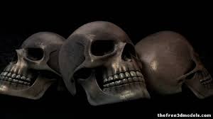 Please note that the 3d model database is only a search engine. Skull Free 3d Model Obj C4d Free3d