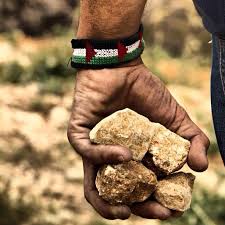 Image result for stones in hand