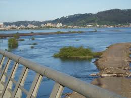 It rises in the icalma and galletué lakes in the andes on chile's eastern border and flows generally northwestward to enter the pacific ocean near concepción after a course of 240 miles (380 km). Bio Bio Region Simple English Wikipedia The Free Encyclopedia