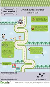 Nu ne este dat sa cunoastem o dragoste mai neconditionata ca cea a cainelui. Ia SÄƒ VÄƒd Pe Cine Iau Cu Mine SÄƒ Vedem Filmul Cainele AdevÄƒratul Meu Prieten Cristian China Birta