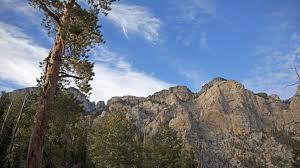 Image result for Little Catnip Spring - Sheldon Refuge Winnemucca NV