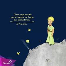 Pin De Carmen Heredia Mazon En El Principito El Principito El Principito Frases Fraces El Principito