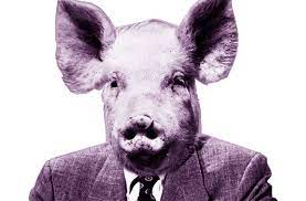 A sexist man | meaning, pronunciation, translations and examples. The Revolutionary Origins Of The Phrase Male Chauvinist Pig The Swaddle