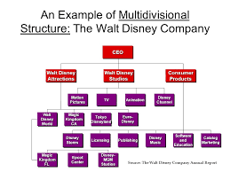 Organizing The Business Enterprise Ppt Video Online Download