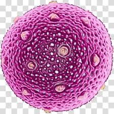 Microscope Watercolor Paint Wet Ink Pollen Scanning Electron Microscope Magnification Hay Fever Transparent Background Png Clipart Hiclipart Download now for free this microscope silhouette clipart transparent png picture with no background. microscope watercolor paint wet ink