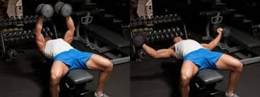 Chest Day 101 Top Dumbbell Exercises The Zone