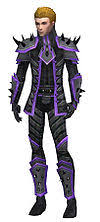These armor sets are the most expensive in the game: Elementalist Obsidian Armor Guild Wars Wiki Gww