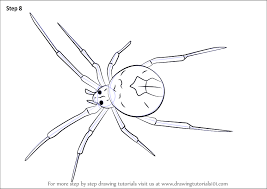 Here is a nice halloween collection of hair raising spiders. Learn How To Draw A Redback Spider Arachnids Step By Step Drawing Tutorials