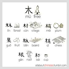 木tree Allaboutchinese Chinese Language Mandarin Chinese Learning Chinese Words