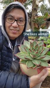 I like succulents because a lot of them bloom in winter..don't know the  name.