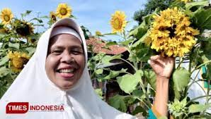 Ribuan gambar baru setiap hari sepenuhnya gratis untuk digunakan video dan gambar berkualitas tinggi dari pexels. Unik Bunga Matahari Milik Warga Cirebon Mekar Dengan Belasan Bunga Kecil Times Indonesia