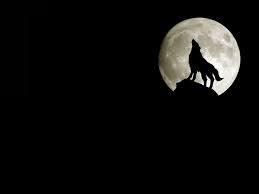 71 wolves howling wallpapers on wallpaperplay. Wolf Moon Wallpapers Top Free Wolf Moon Backgrounds Wallpaperaccess