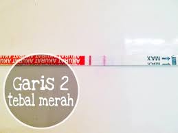 Cara membaca hasil tes eba. Cerita Cha Penting Ini Cara Membaca Hasil Test Pack Kehamilan
