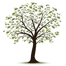 Clip Art Family Tree Family Tree Drawing Family Tree Clipart Family Tree Art
