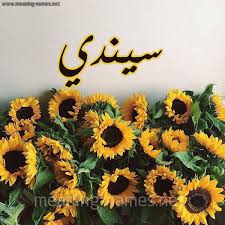 السلام عليكم، انا شاب عماني اقدم دعم لفيديوهات مشاهير عمان و اطمح للأمام دوماً هدفي الاول و الوحيد اوصال. Ù…Ø¹Ù†Ù‰ Ø§Ø³Ù… Ø³ÙŠÙ†Ø¯ÙŠ Ù‚Ø§Ù…ÙˆØ³ Ø§Ù„Ø£Ø³Ù…Ø§Ø¡ Ùˆ Ø§Ù„Ù…Ø¹Ø§Ù†ÙŠ