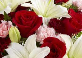Flowers by marianne provides flower and gift delivery to the salisbury, ma area. About Us And Business Hours Flowers By Marianne Hampton Falls Ma 03844