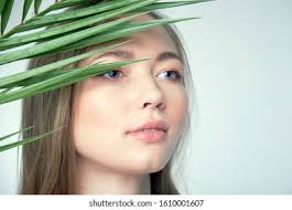 2+ Thousand Fern. Shower Royalty-Free Images, Stock Photos & Pictures