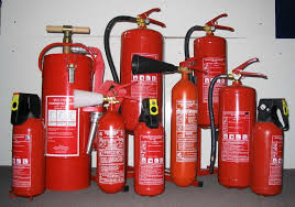 images?q=tbn:ANd9GcTymPyOXB7OH_M3zd1EDKj