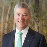 Our internal governance arrangements