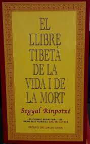 La poeta uruguaya delmira agustini es asesinada. Funeral Natural A Sustainable Death