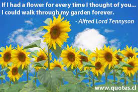 Pin On Quotes