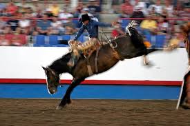 19 year old bret hart refereeing a match between the cuban assassin and irish. The 5 Best Calgary Stampede Tours Tickets 2021 Viator