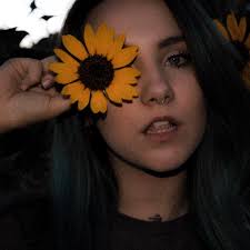 Anna Rose Photography