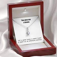 Amazon.com: You Give Me A Heart Boner Necklace, An Affection Erection, Pendant  Necklace, Funny & Sarcastic Love For Her, Mature Gift : Clothing, Shoes &  Jewelry