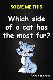 Riddles For Kids In 2020 Riddles Brain Teasers Kids