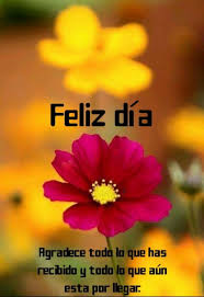 Frases, mensagens, textos e poemas feliz dia dos pais no pensador. Pin De Ysenia En Saludos Lmagenes De Buenos Dias Gifts De Buenos Dias Saludos De Buenos Dias